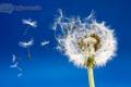 Warsztaty Mindfulness- Uwano