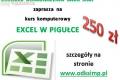 Excel w pigu�ce- podstawowy kurs z MS Excel